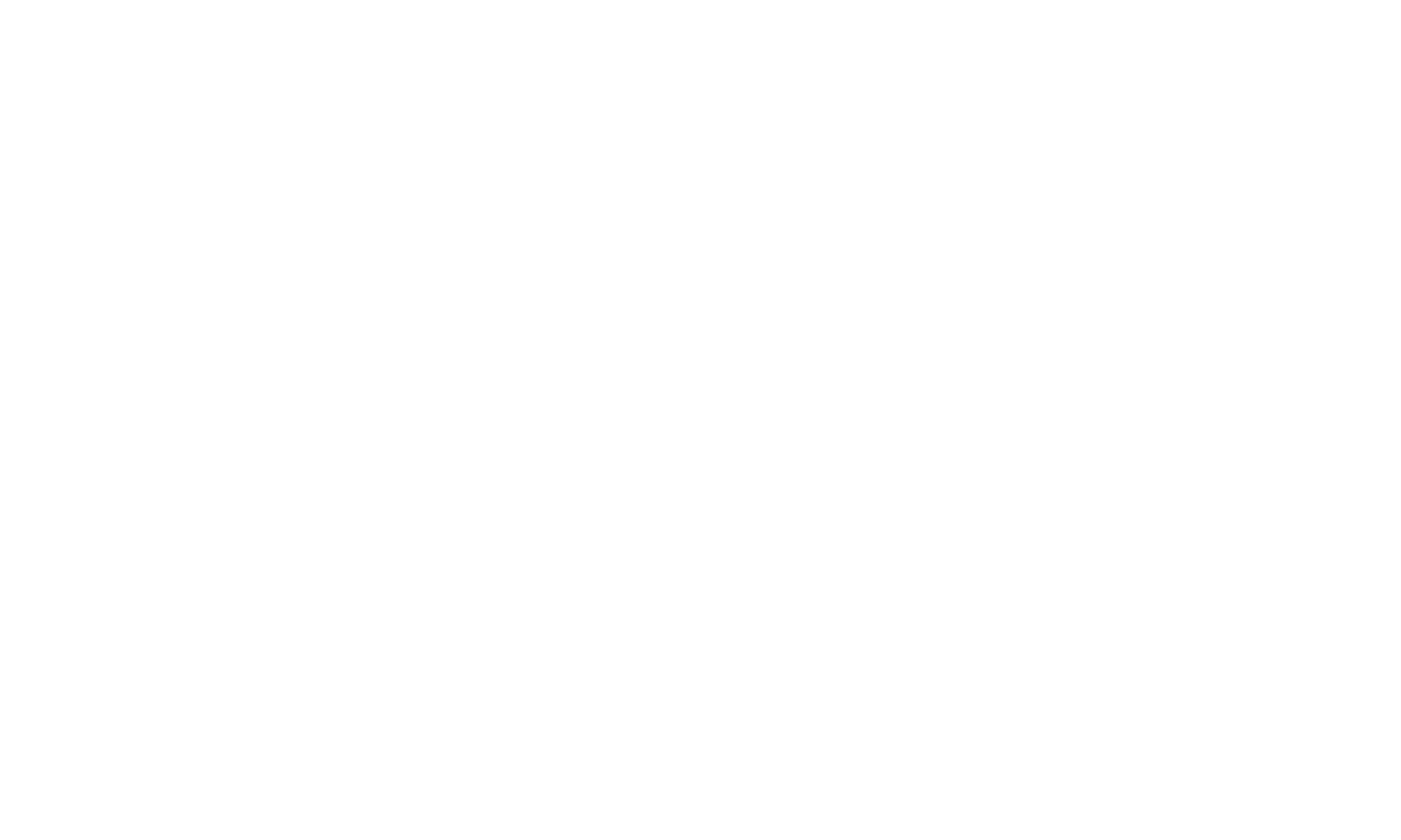 princeton racing electric logo